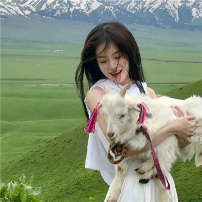 潜艇总动员4：章鱼奇遇记